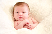 Baby Hank 2022